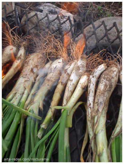 Calçots