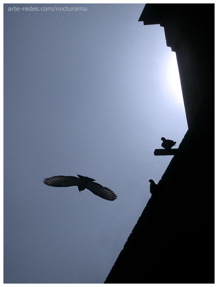 bajo la luz del sol sereno - Gracia, plaza Virreyna, Barcelona