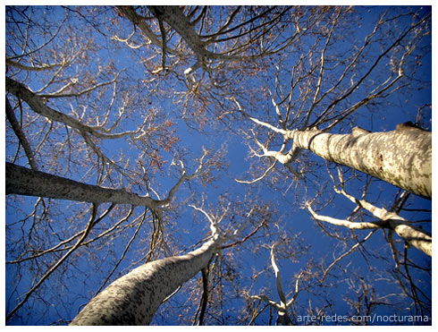 Parque natural de la zona volcánica de la garrotxa