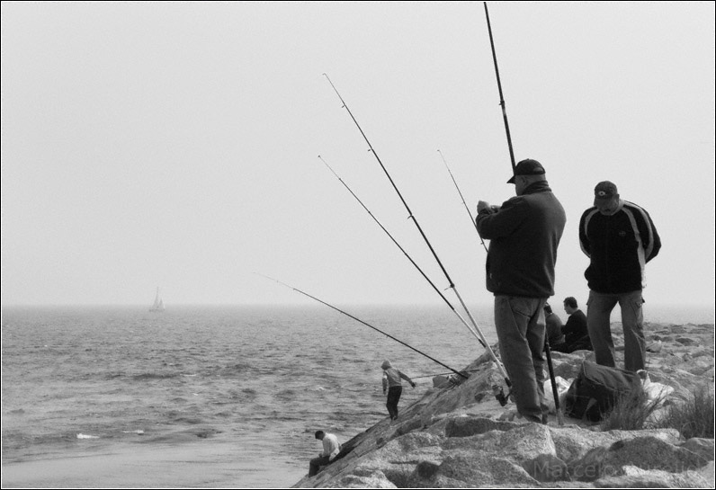Pescadores - Sant Adrià de Besòs - Barcelona