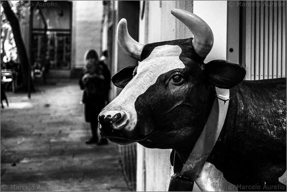 Barcelona, 2014. © Marcelo Aurelio