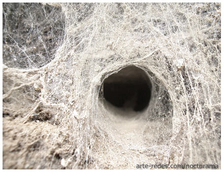 Casa de arañas
