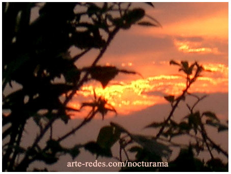 atardecer en La FLoresta
