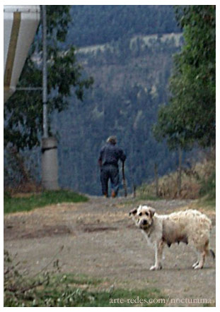 Don Josep y su perra, Queralbs, desde el Jardín de Ferrán. 