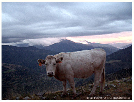 subiendo al Puigmal, Pirineos