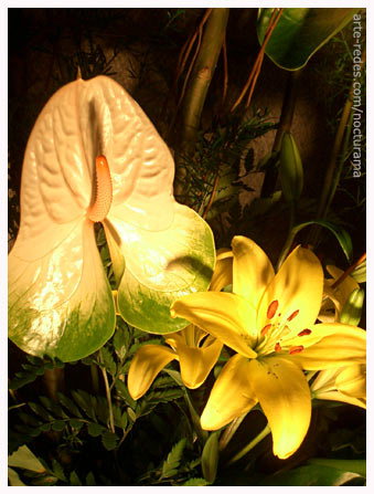 Temps de Flors 2005 . Iglesia de Sant Martí Sacosta. Girona