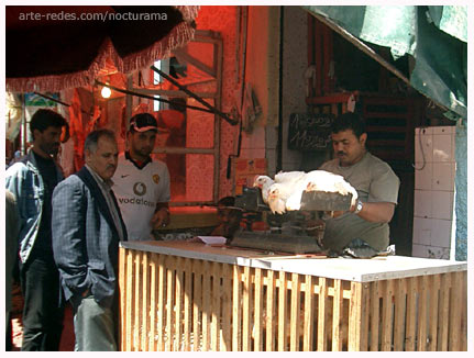 Mercado en Casablanca. Marruecos