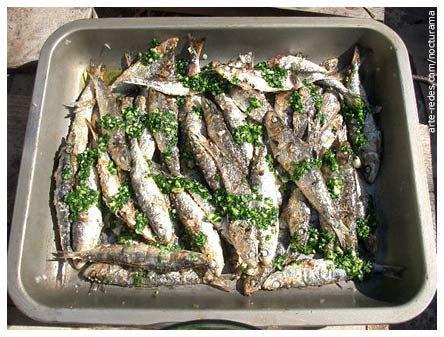 sardinas - Crowded - Photo Friday 