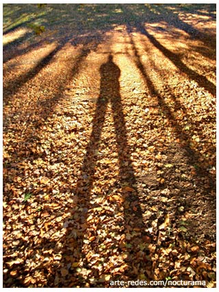 Parque natural de la zona volcánica de la garrotxa